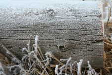 Winter Log Royalty Free Stock Photo Winter Log Royalty Free Stock Photo