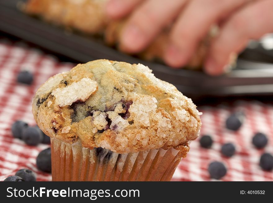 Fresh Blueberry Muffins out of the oven - red & white checkered gingham