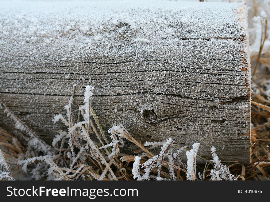 Hoar-frost on the old log (winter background). Hoar-frost on the old log (winter background).