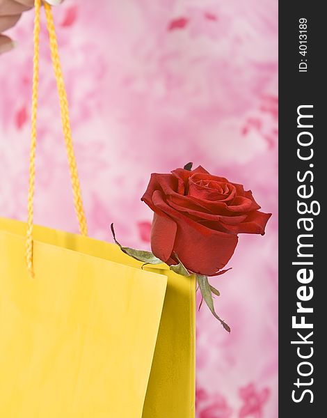 Close-up image of a rose sticking out of a yellow shopping bag. The background is made of the pink dress of the woman.Shot with Canon 70-200mm f/2.8L IS USM

<b>Browse my</b> <a href=http://www.dreamstime.com/shopping-colldet6921><b>Shopping</b></a> <b>collection.</b>. Close-up image of a rose sticking out of a yellow shopping bag. The background is made of the pink dress of the woman.Shot with Canon 70-200mm f/2.8L IS USM

<b>Browse my</b> <a href=http://www.dreamstime.com/shopping-colldet6921><b>Shopping</b></a> <b>collection.</b>