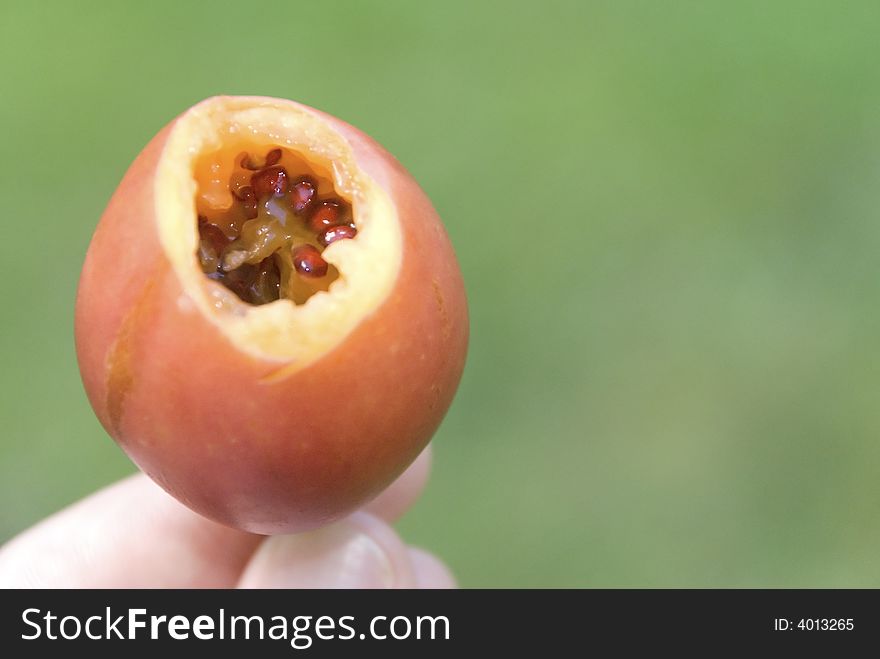 A bite taken out of juicy tamarillo. focus is on the seeds inside