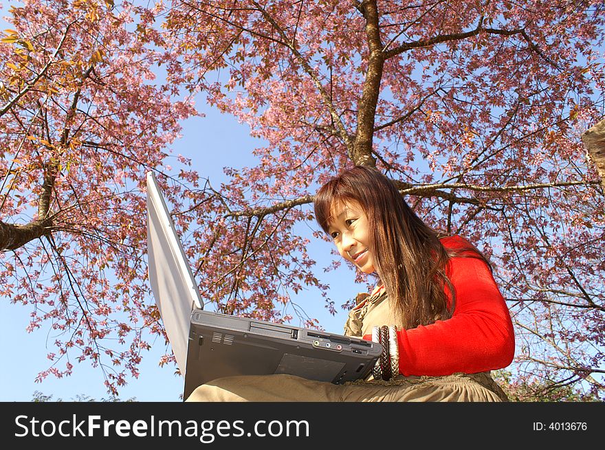 Beautiful pink flowers and a freshly lady at outdoor work. Beautiful pink flowers and a freshly lady at outdoor work