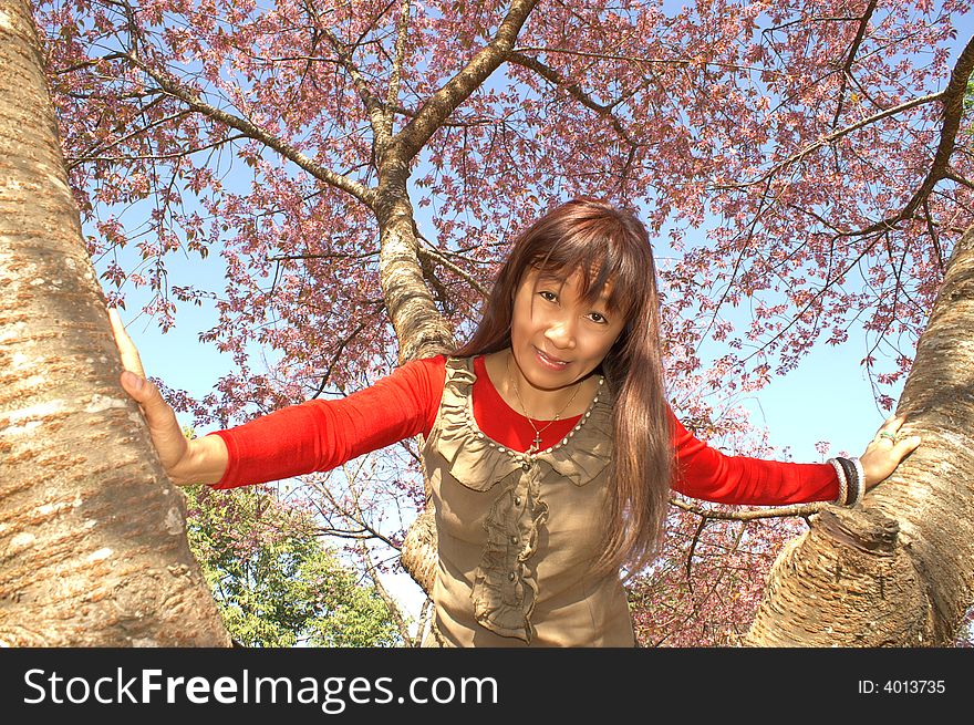 Beautiful pink flowers and a freshly lady. Beautiful pink flowers and a freshly lady