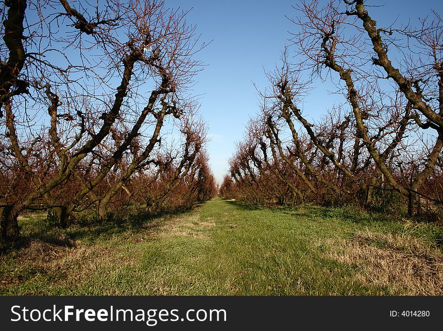 Campagna Invernale