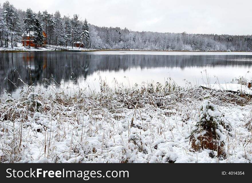 Forest lake in the winter morning