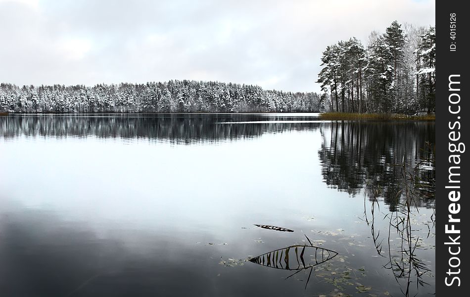 Forest lake in the winter morning