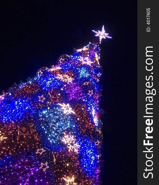 Christmas fur-tree in celebratory furniture