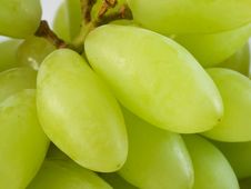 Green Grapes Stock Photography