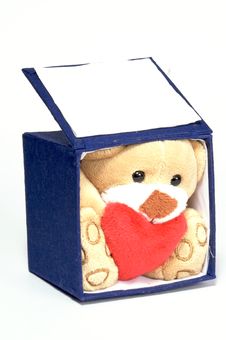 Bear In A Box Royalty Free Stock Image Bear In A Box Royalty Free Stock Image