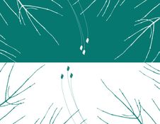 Abstract Foilage Royalty Free Stock Photo Abstract Foilage Royalty Free Stock Photo