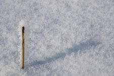 Frozen Stick Stock Photo Frozen Stick Stock Photo