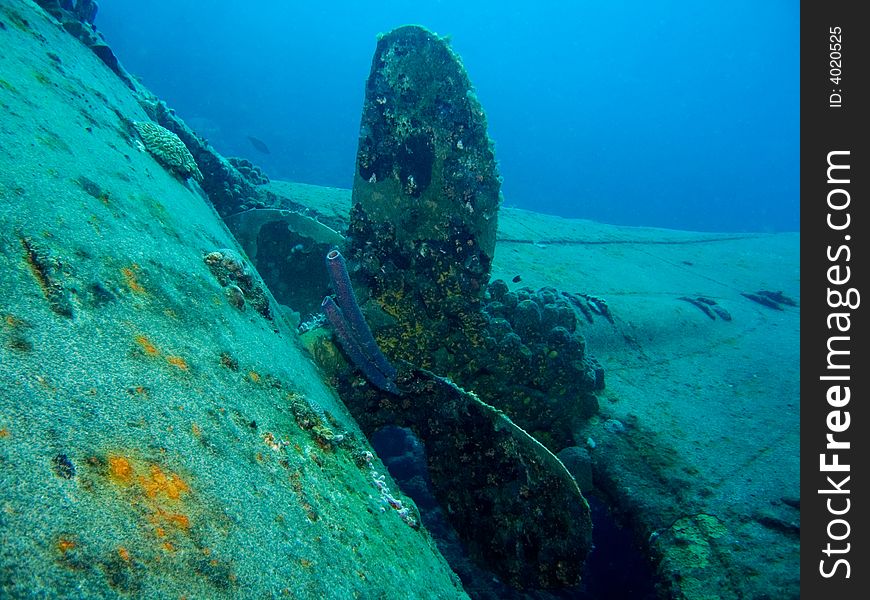 The Wreck of the Hilma Hooker, Bonaire, Caribbean. The Wreck of the Hilma Hooker, Bonaire, Caribbean