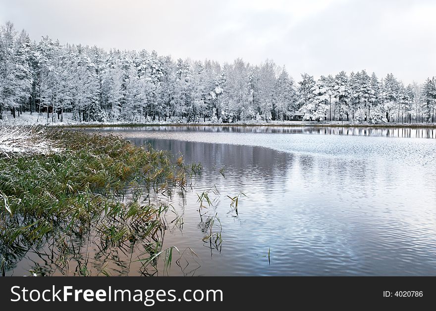 Lake in winter forest composition. Lake in winter forest composition