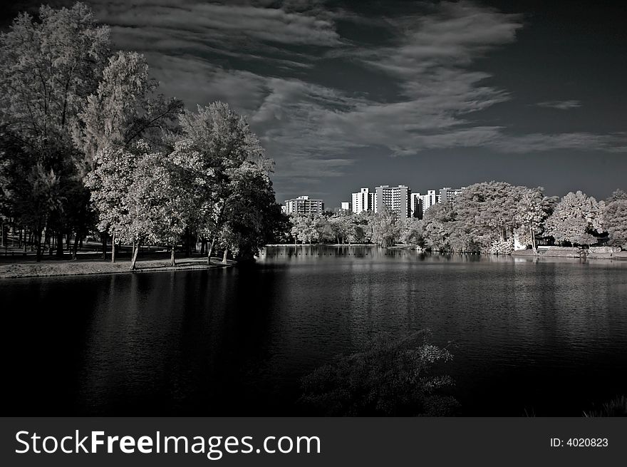 Infrared photo – tree, lake and building in the parks