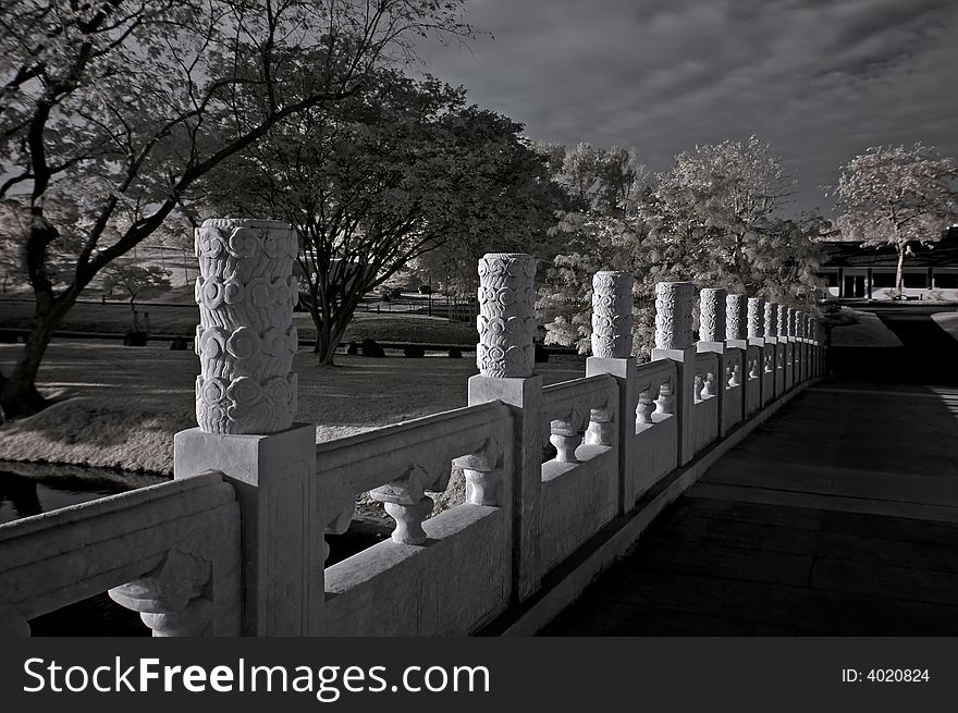 Infrared photo – tree, skies and bridge