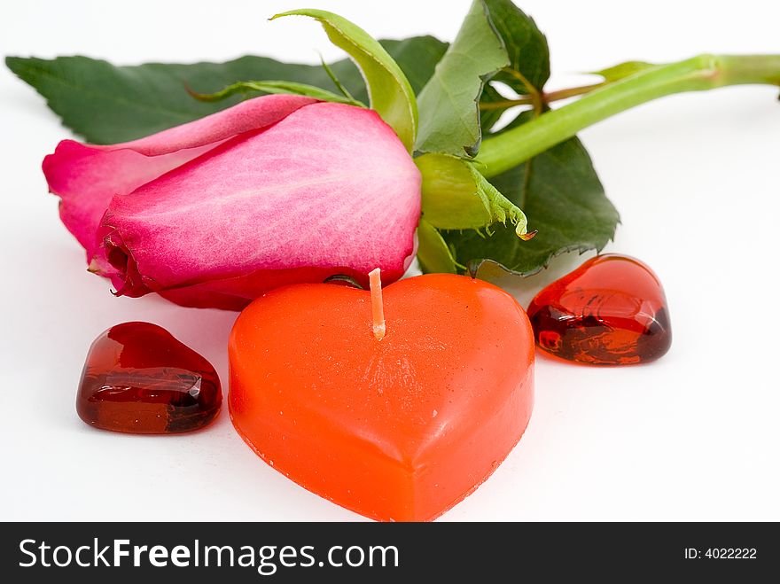 Love symbols. Flower and hearts on white background. Love symbols. Flower and hearts on white background