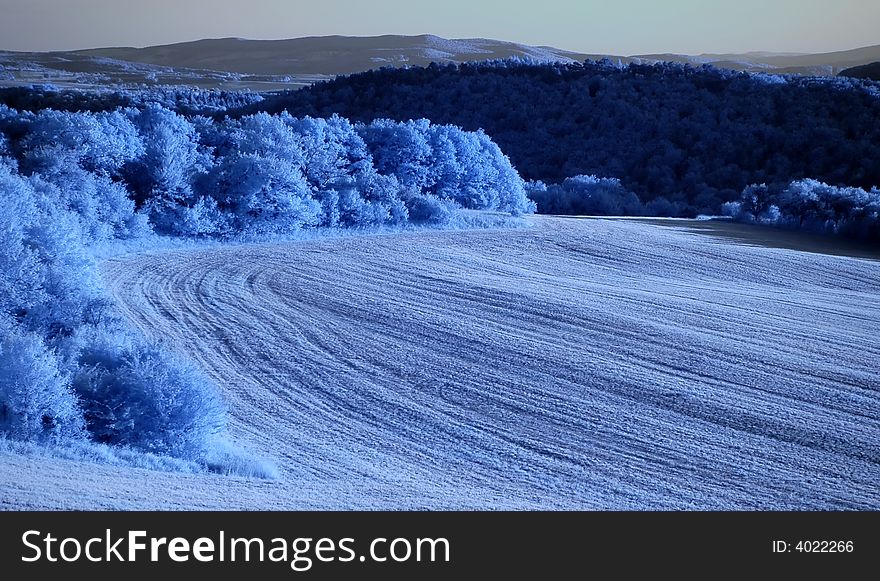 Landscape in infra red spectrum. Landscape in infra red spectrum