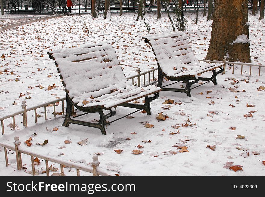 Park bench in snow