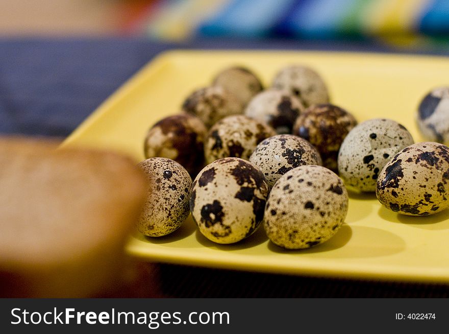 Group of spotted quail eggs.