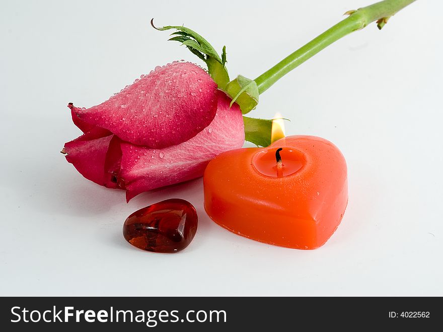 Love symbols. Flower and hearts on white background. Love symbols. Flower and hearts on white background