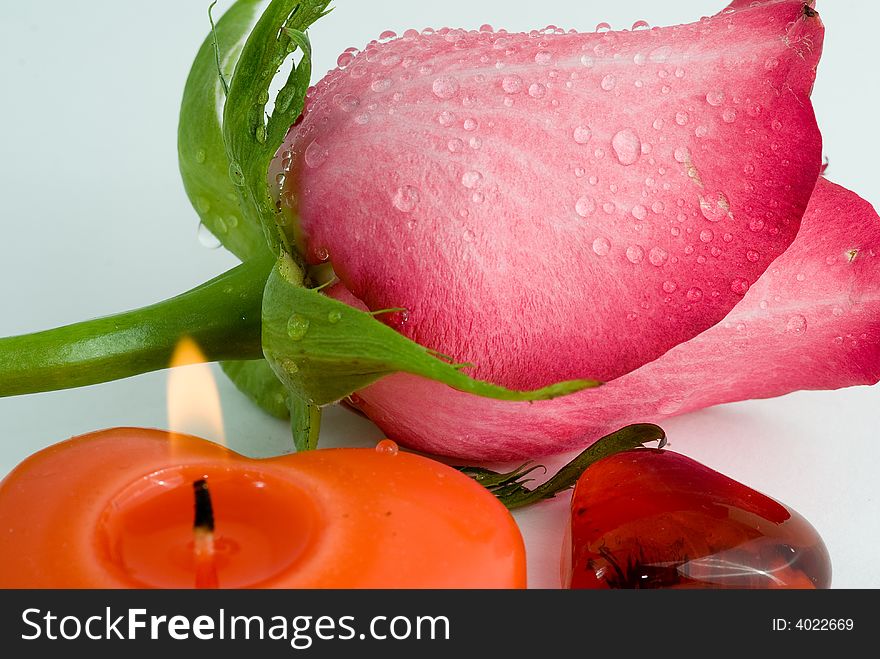 Love symbols. Flower and hearts on white background. Love symbols. Flower and hearts on white background