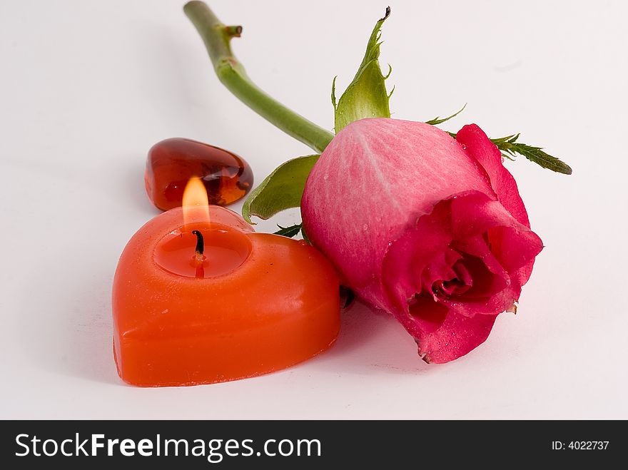 Love symbols. Flower and hearts on white background. Love symbols. Flower and hearts on white background