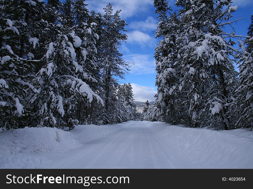 Rural county road in Valley County Idaho, winter. Rural county road in Valley County Idaho, winter