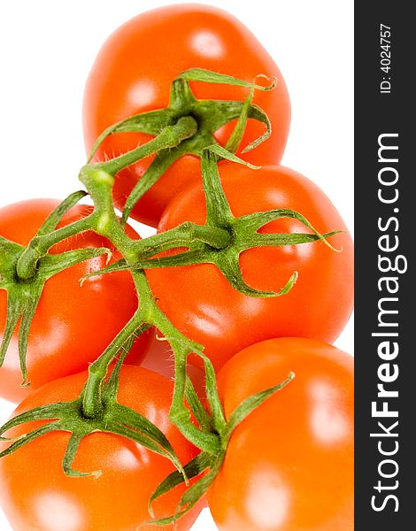 Five juicy red tomatoes on the vine with a white background. Five juicy red tomatoes on the vine with a white background