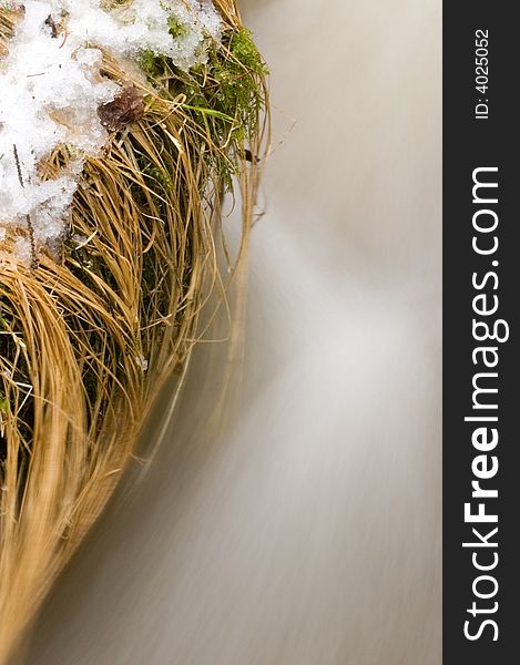 Snow, dry grass and stram river. Snow, dry grass and stram river