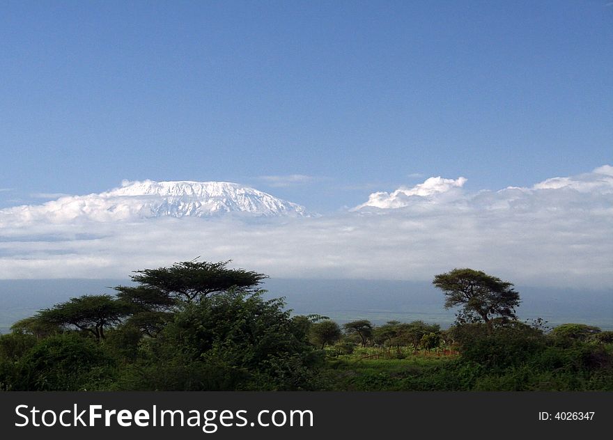 The peak of Kilimanjaro - Kenya