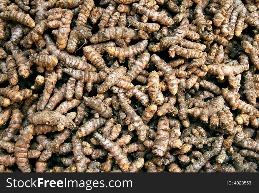 Freshly Harvested Turmeric