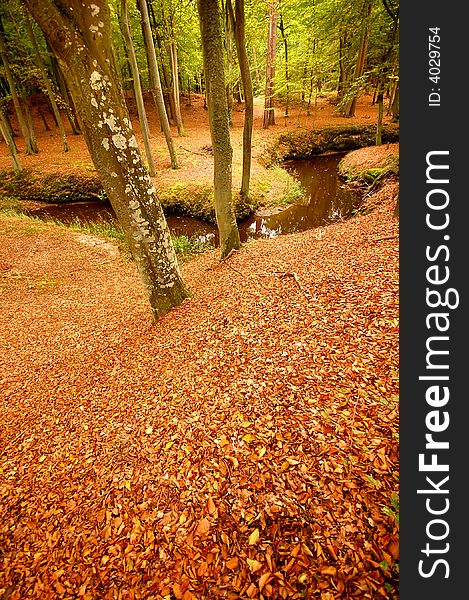 Beautiful clean autumn park with bright colours and many leaves. Beautiful clean autumn park with bright colours and many leaves