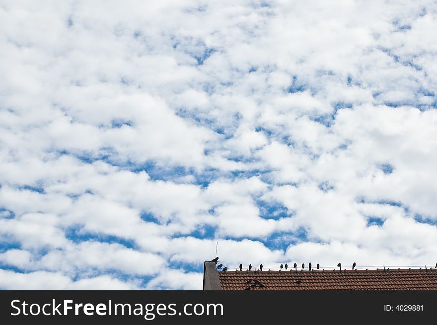 Lot of birds on the roof against cloudy sky