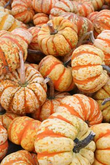 Bunches Of Pumpkins Stock Image Bunches Of Pumpkins Stock Image
