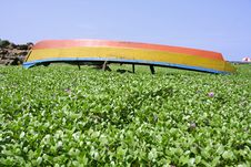 Boat Lying Upside Down In Garden Stock Images Boat Lying Upside Down In Garden Stock Images