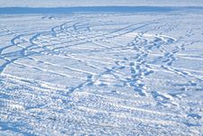 Tracks In Snow Stock Photo Tracks In Snow Stock Photo