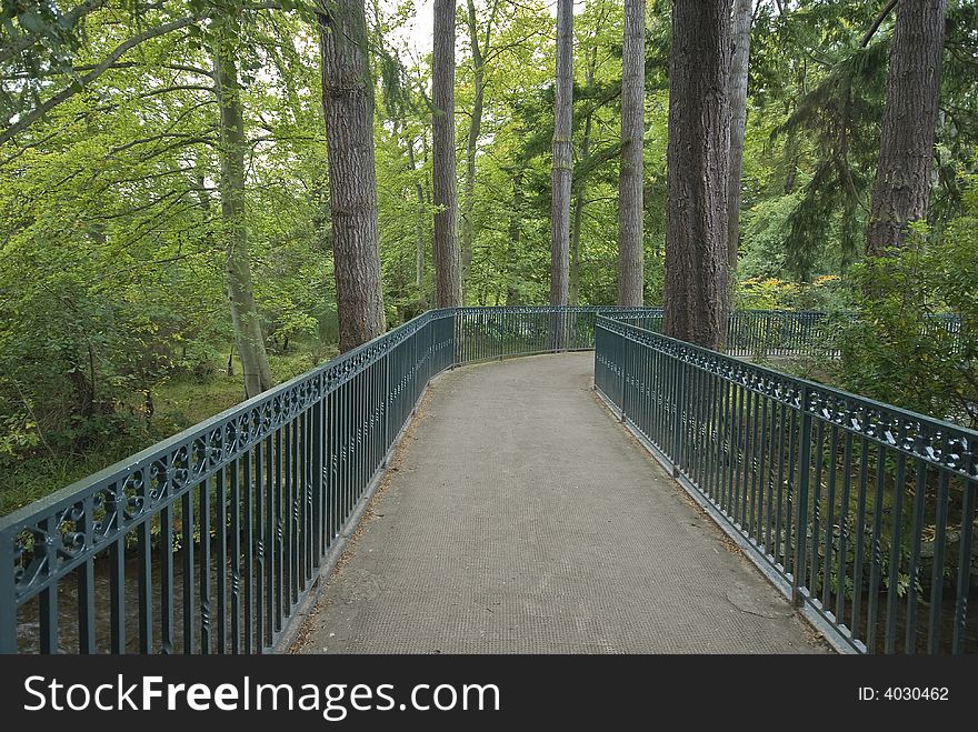 Bridge in the Forest,Bridge in the Wood