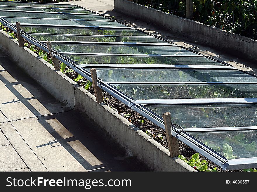 Pot planting in glass bed