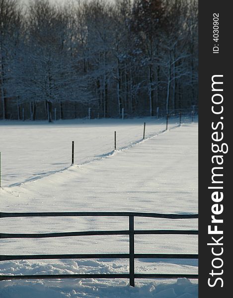 Fence and forest at winter time