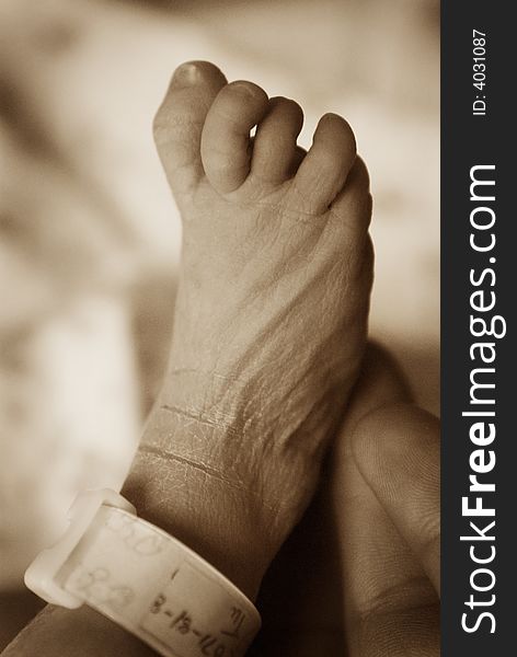 Newborn foot resting on fathers hand in the hospital