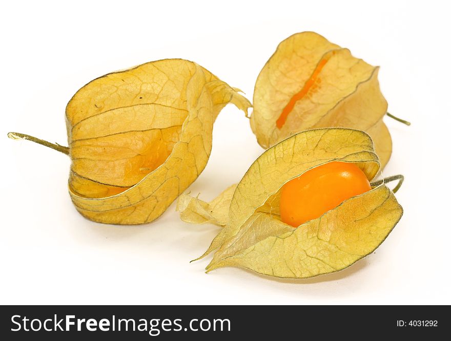 Physalis on a white background