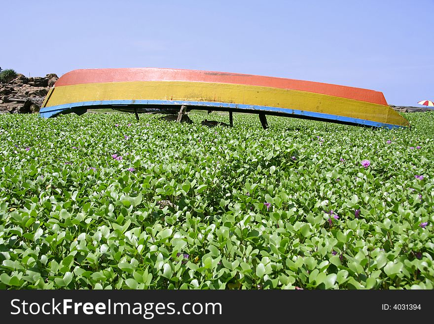 Boat Lying Upside Down In Garden