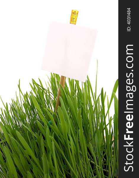 Grass with a sheet for the information.