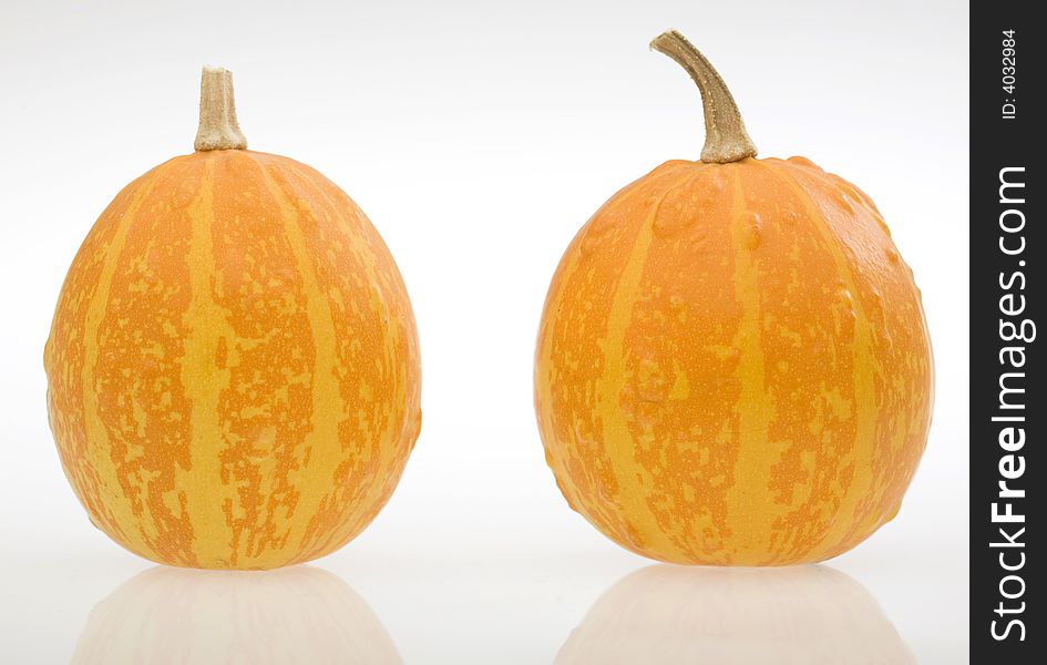 Two pumpkins on white background