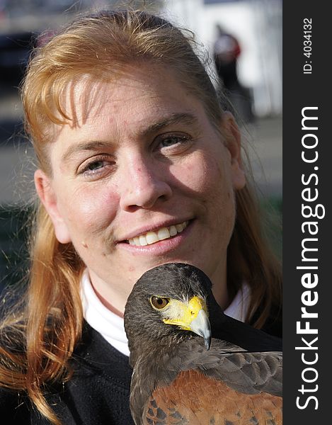 Falconer with a Harris Hawk in closeup. Falconer with a Harris Hawk in closeup