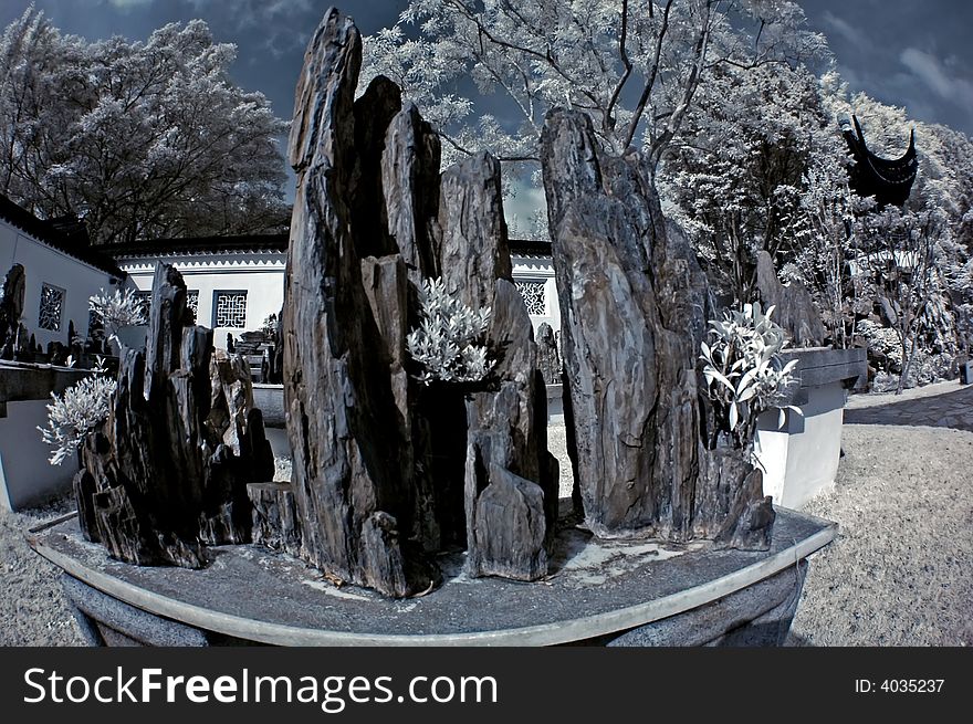 Infrared photo - pot plant and rock in the bonsai gardens