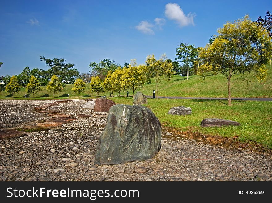 Tree, Rock And Landscape In The Park