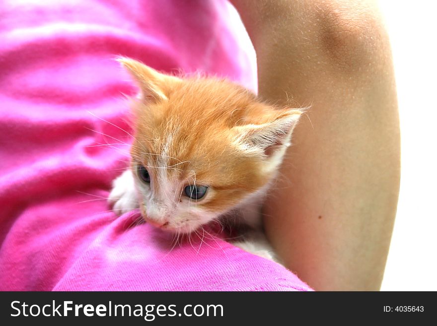 Nice little kitten on the girl's back.