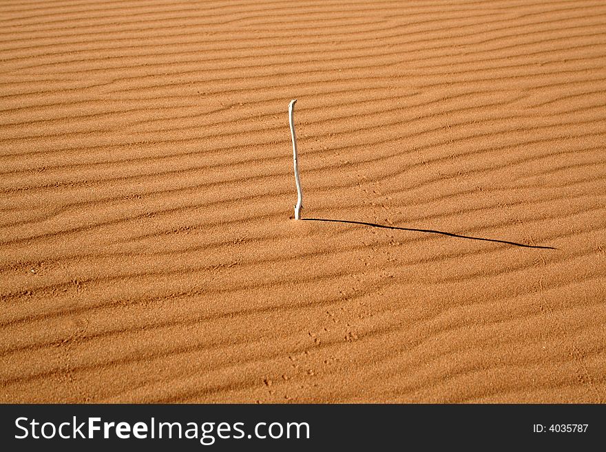 Natural sundial in the desert sand. Natural sundial in the desert sand