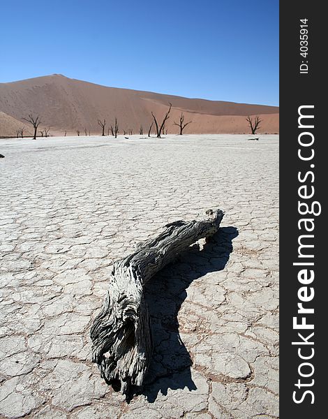 Dried up lakebed in the Dead Vlei section of the Namib Desert in Sossusvlei, Namibia. Dried up lakebed in the Dead Vlei section of the Namib Desert in Sossusvlei, Namibia